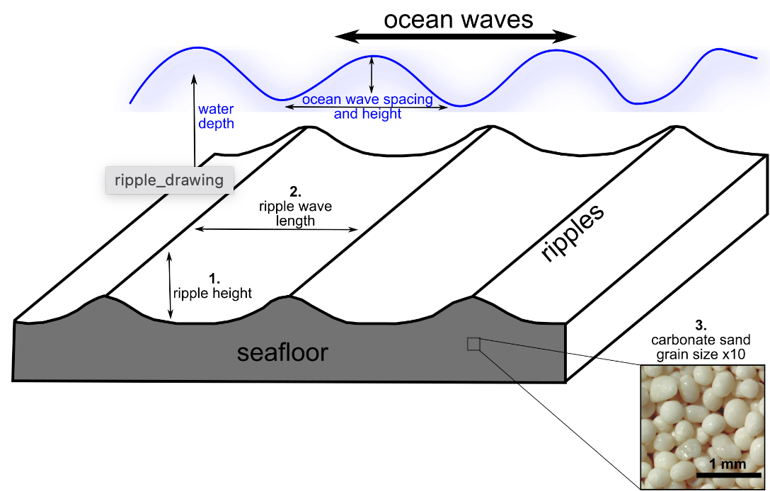 Ocean Waves